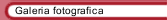 Galeria fotografica