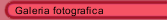 Galeria fotografica